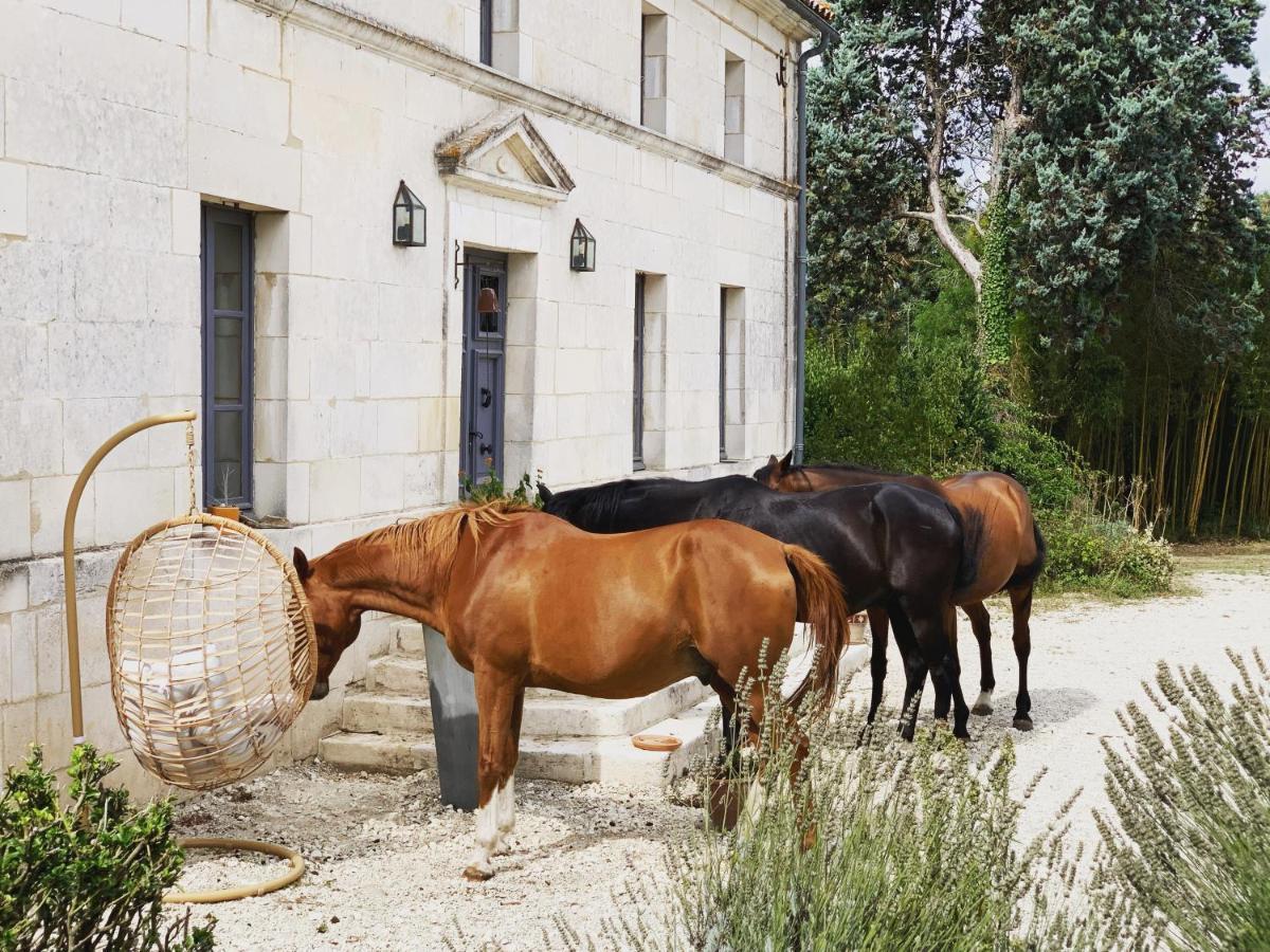 Domaine Terroceane La-Gripperie-Saint-Symphorien Exterior foto