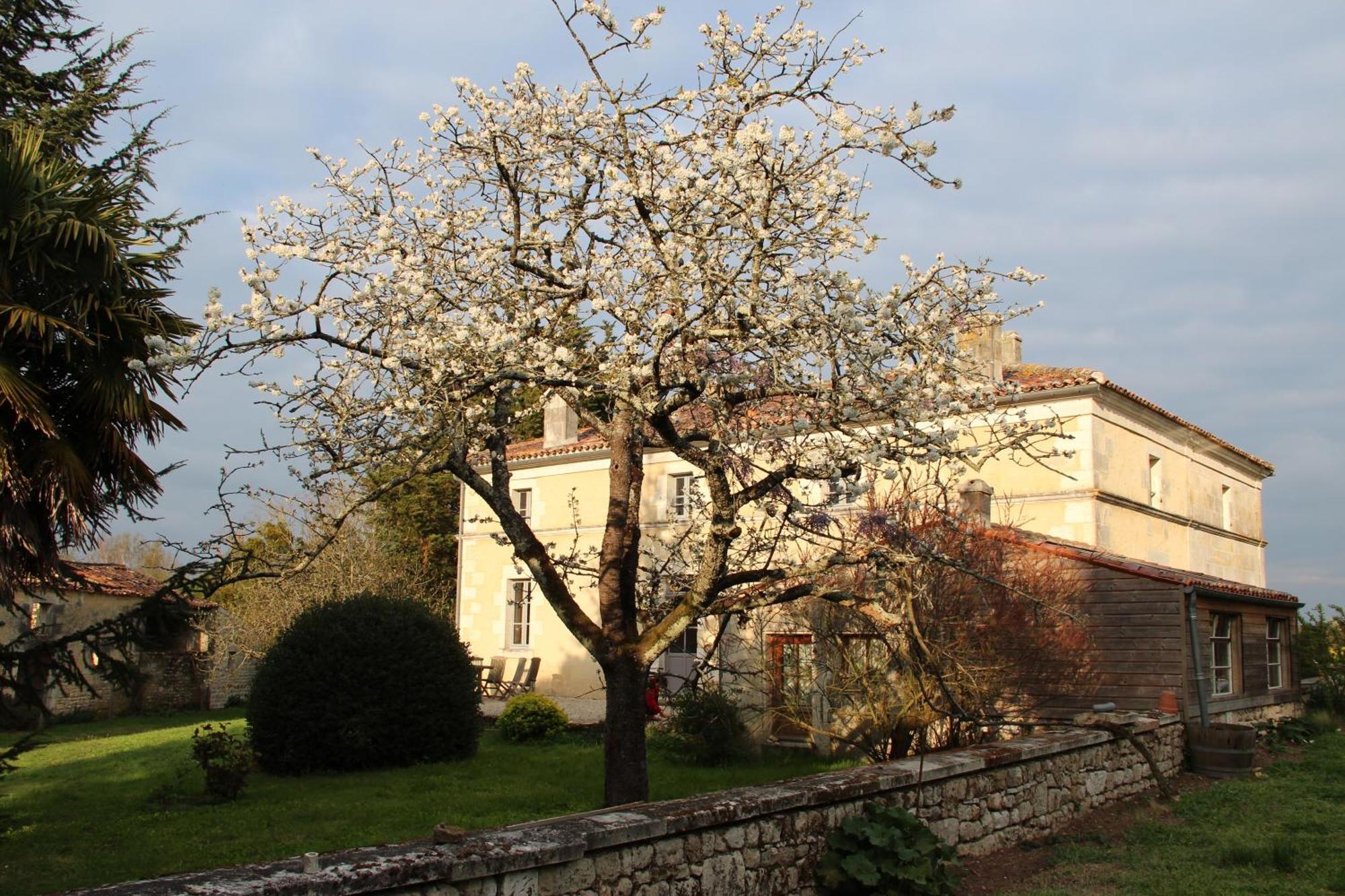 Domaine Terroceane La-Gripperie-Saint-Symphorien Exterior foto