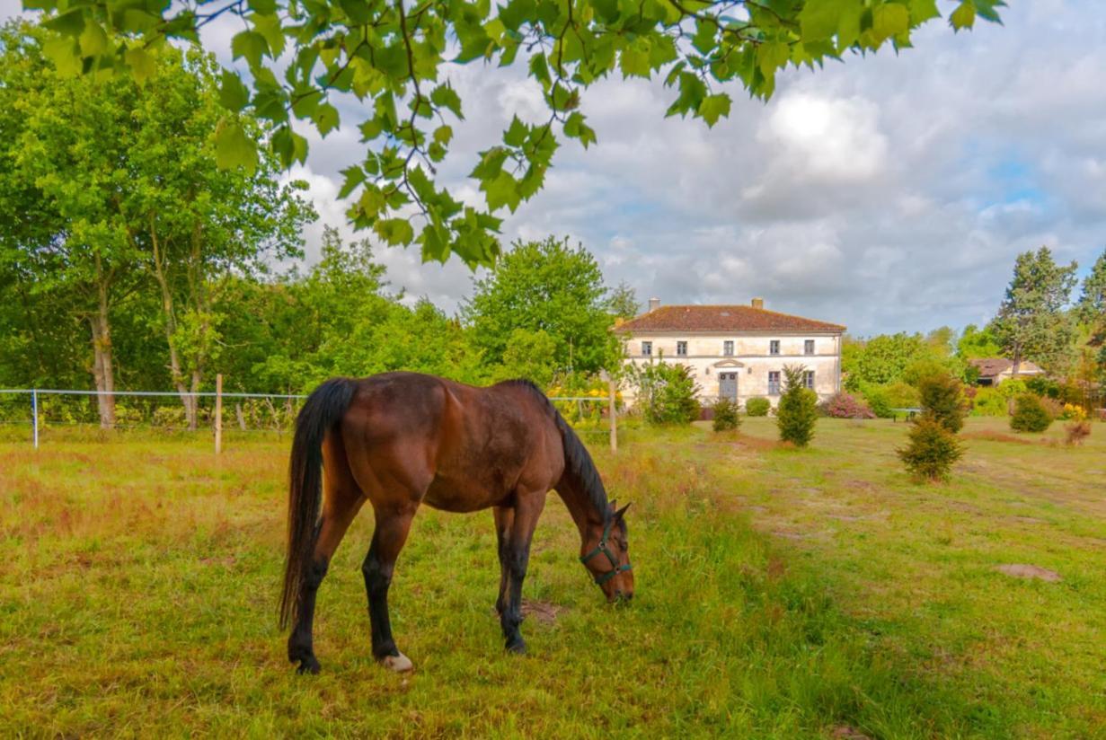 Domaine Terroceane La-Gripperie-Saint-Symphorien Exterior foto
